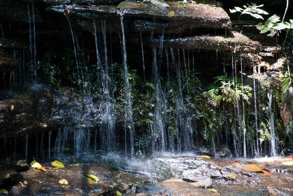 Spa E Hotel Fazenda Gaura Mandir Teresópolis Eksteriør bilde